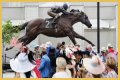 Kentucky Derby News - Us Weekly
